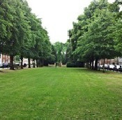 Horserfair Green Stony Stratford, landscape maintenance provided by Marcus Young Landscapes Ltd